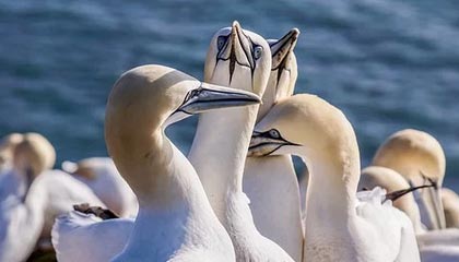 黔东最新公积金卡提取现金方法app方法分析(最方便真实的黔东公积金卡怎样从手机里取出来?方法)