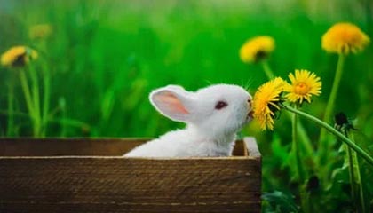 黔东最新公积金卡提取现金操作及规定方法分析(最方便真实的黔东公积金卡提取现金操作及规定是什么方法)